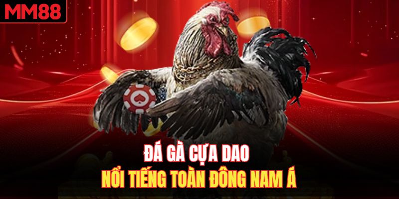Đá gà cựa dao nổi tiếng toàn Đông Nam Á 