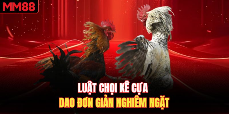 Luật chọi kê cựa dao đơn giản nghiêm ngặt