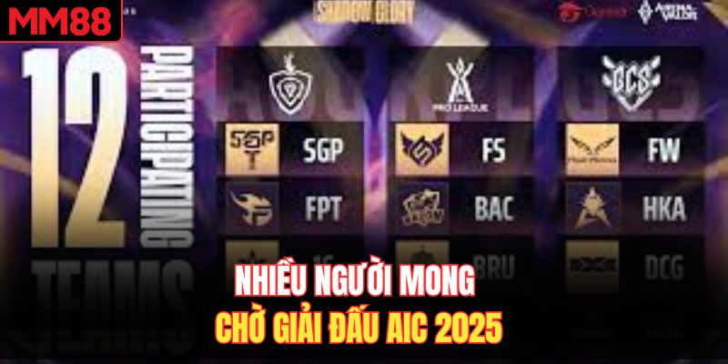 Nhiều người mong chờ giải đấu AIC 2025